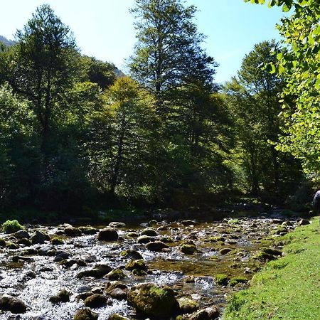 Gites Communaux A Lourdios Екстериор снимка