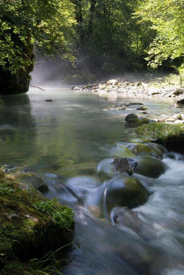 Gites Communaux A Lourdios Екстериор снимка
