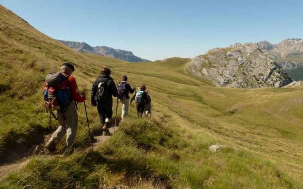 Gites Communaux A Lourdios Екстериор снимка